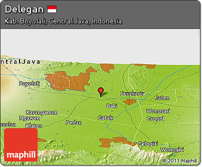 Physical Panoramic Map of Delegan