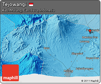 Political 3D Map of Tejowangi