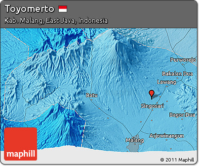 Political 3D Map of Toyomerto