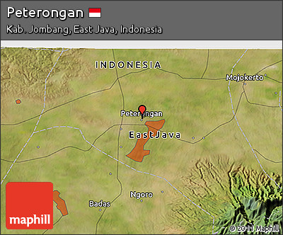 Satellite 3D Map of Peterongan