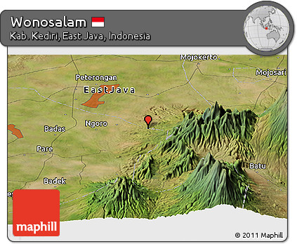 Satellite Panoramic Map of Wonosalam