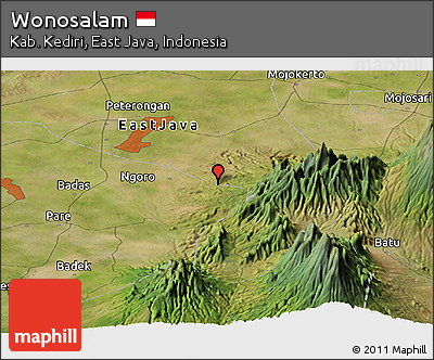 Satellite Panoramic Map of Wonosalam