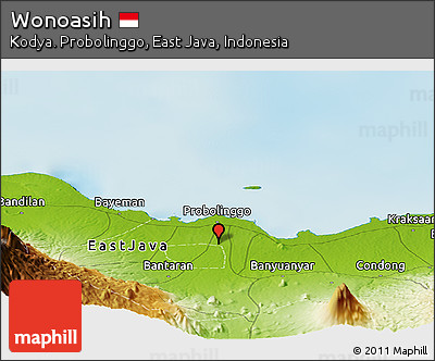 Physical Panoramic Map of Wonoasih