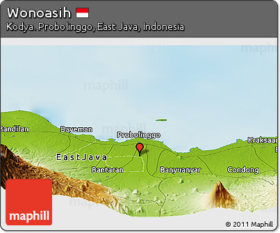 Physical Panoramic Map of Wonoasih