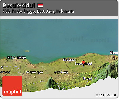 Satellite Panoramic Map of Besuk-kidul
