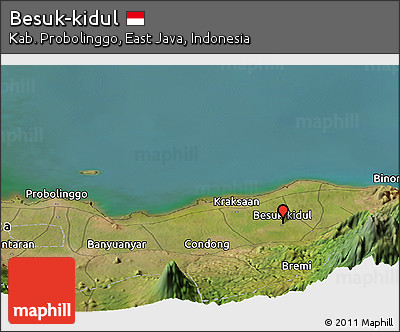 Satellite Panoramic Map of Besuk-kidul