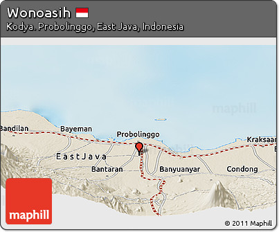 Shaded Relief Panoramic Map of Wonoasih
