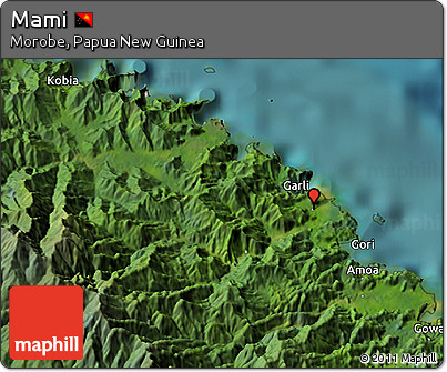 Satellite 3D Map of Mami