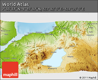 Physical 3D Map of the Area around 8° 2' 17" N, 124° 10' 30" E