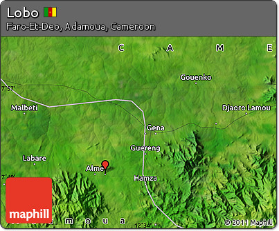 Satellite Map of Lobo