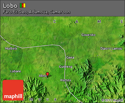 Satellite Map of Lobo
