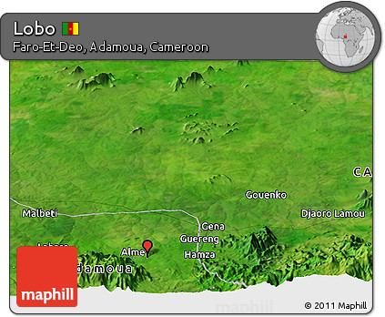Satellite Panoramic Map of Lobo