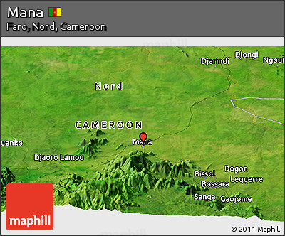Satellite Panoramic Map of Mana