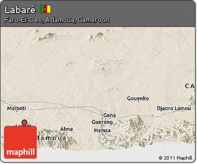 Shaded Relief Panoramic Map of Labaré