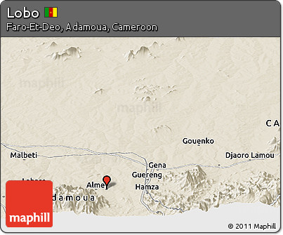 Shaded Relief Panoramic Map of Lobo
