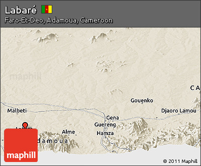 Shaded Relief Panoramic Map of Labaré