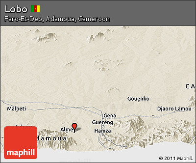 Shaded Relief Panoramic Map of Lobo