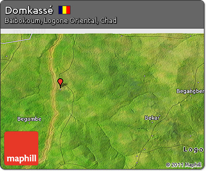 Satellite 3D Map of Domkassé