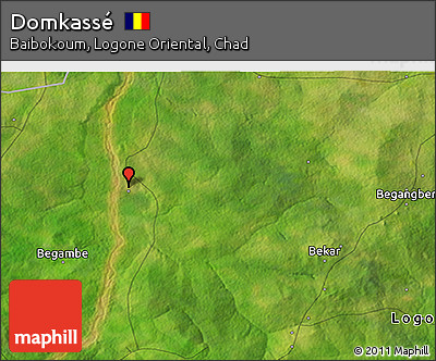 Satellite 3D Map of Domkassé