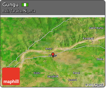 Satellite 3D Map of Gungu