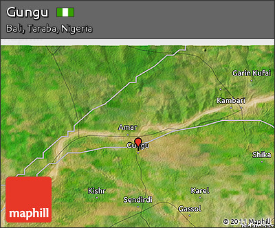 Satellite 3D Map of Gungu