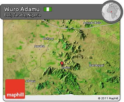 Satellite 3D Map of Wuro Adamu