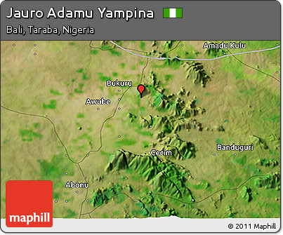 Satellite 3D Map of Jauro Adamu Yampina