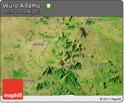 Satellite 3D Map of Wuro Adamu