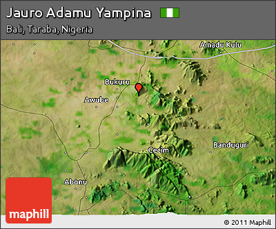 Satellite 3D Map of Jauro Adamu Yampina