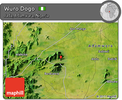 Satellite 3D Map of Wuro Dogo