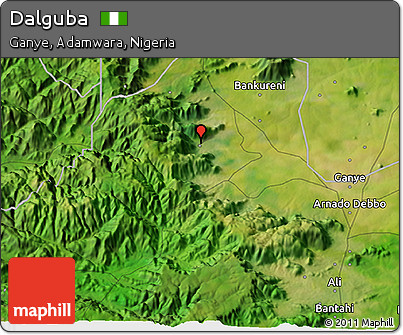 Satellite 3D Map of Dalguba