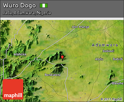 Satellite 3D Map of Wuro Dogo