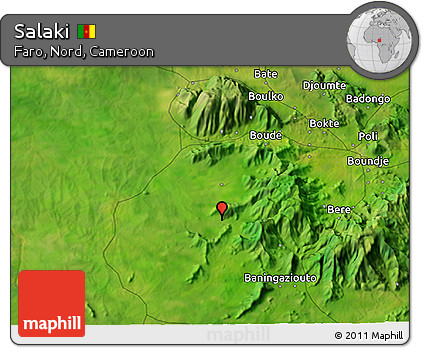 Satellite 3D Map of Salaki