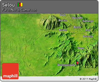 Satellite 3D Map of Sélou