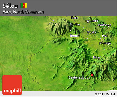 Satellite 3D Map of Sélou