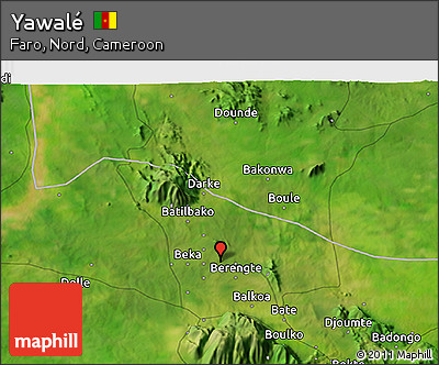 Satellite 3D Map of Yawalé