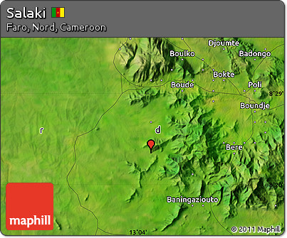 Satellite Map of Salaki