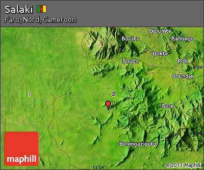 Satellite Map of Salaki