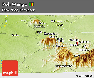 Physical Panoramic Map of Poli Wango