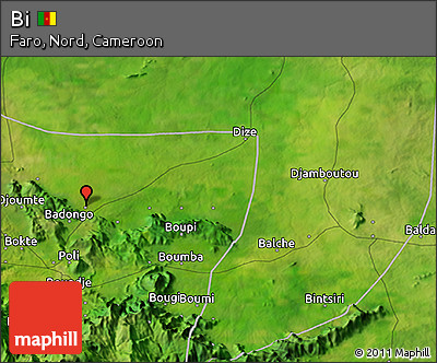 Satellite 3D Map of Bi