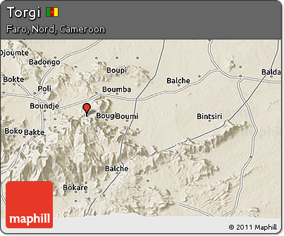 Shaded Relief 3D Map of Torgi