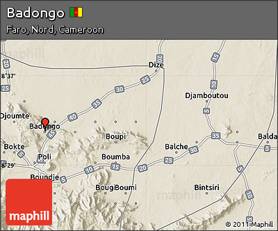 Shaded Relief Map of Badongo