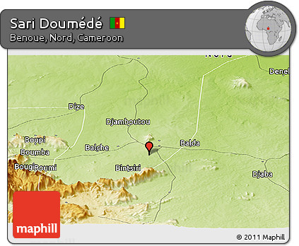 Physical Panoramic Map of Sari Doumédé