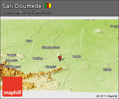 Physical Panoramic Map of Sari Doumédé