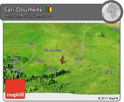 Satellite Panoramic Map of Sari Doumédé