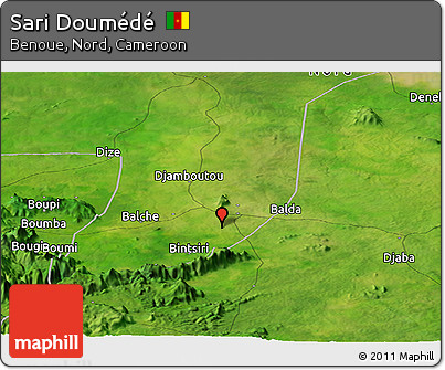 Satellite Panoramic Map of Sari Doumédé