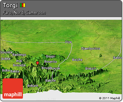 Satellite Panoramic Map of Torgi