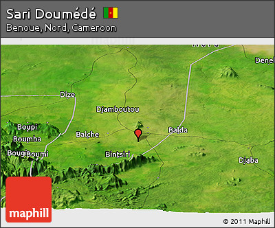 Satellite Panoramic Map of Sari Doumédé