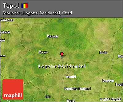 Satellite 3D Map of Tapol