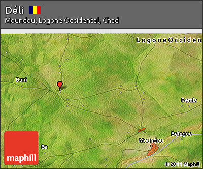 Satellite 3D Map of Déli